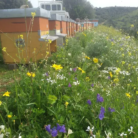 مزرعة للإقامة I Graniti مونتي